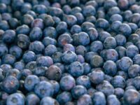 Blue Berries